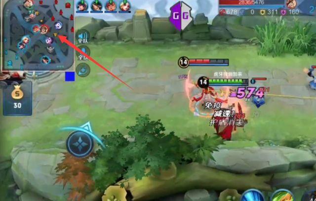 <strong>王者cky公益真装</strong>